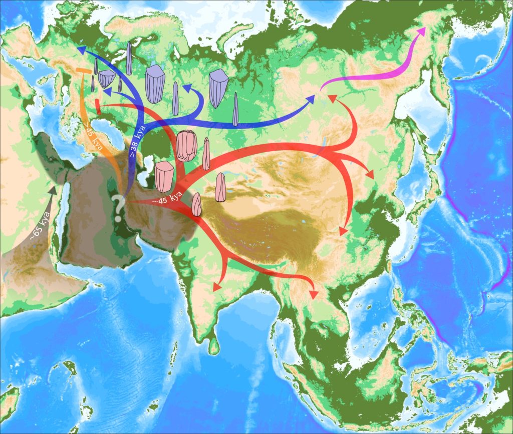 hub linee asiatiche Europa