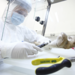 genetic origins farmers