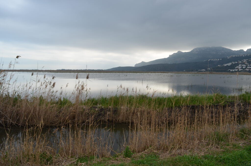 sea rise mesolithic neolithic