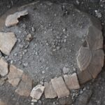 testuggine via dell'Abbondanza