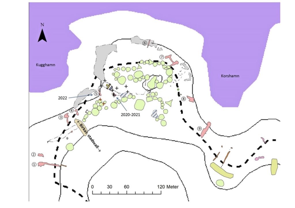 Unique Viking shipyard discovered at Birka