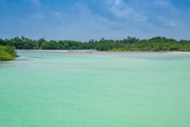 maya holbox lagoon