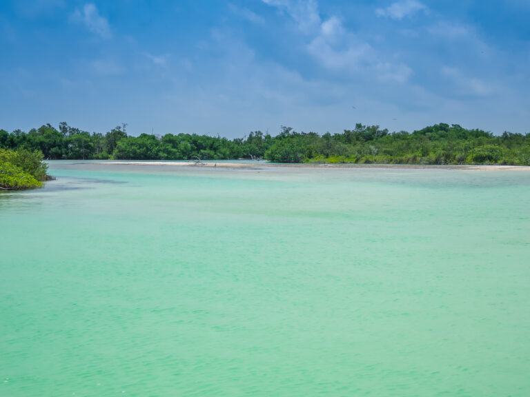 maya holbox lagoon