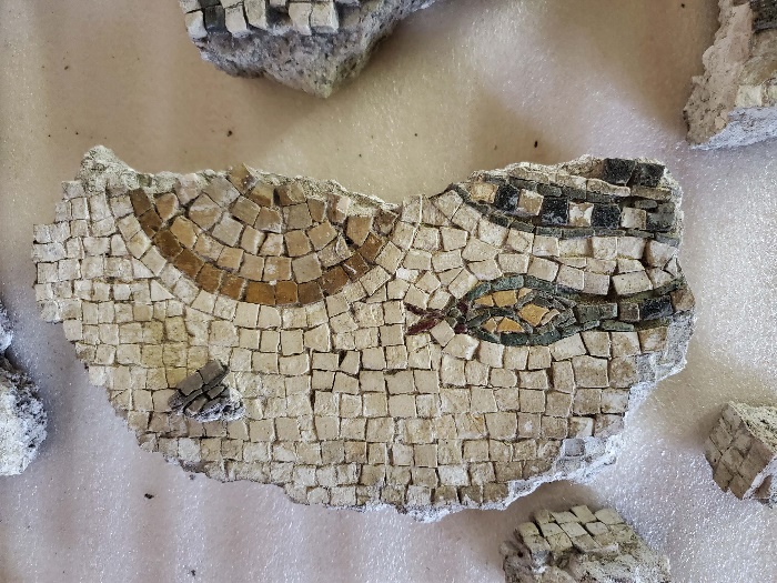 mosaico con Medusa rimpatriato insieme aureo Nerone Virtù
