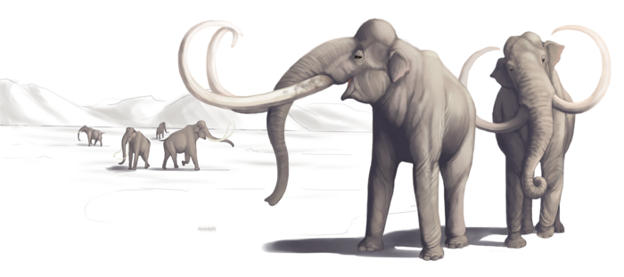 New Mexico mammoths among best evidence for early humans in North America 