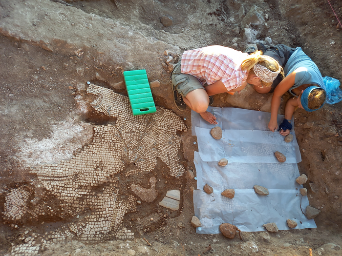 Archaeologists uncover ancient mosaics close to Khirbat al-Minya