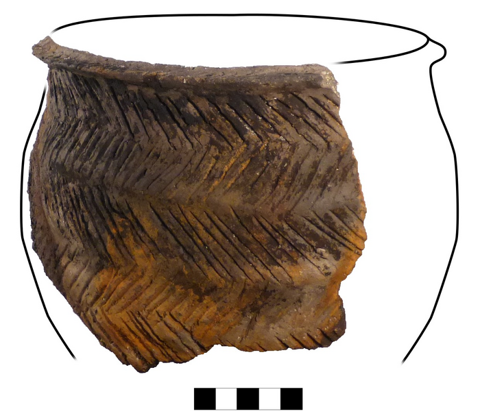 Neolithic culinary traditions uncovered Low-Res_2 Mike pot A_NATCOMMS