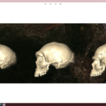 Homo sapiens: un nuovo studio riconduce l’origine della specie a una popolazione isolata dell’Africa orientale di circa 200.000 anni fa