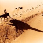 origins of donkey domestication Aux origines de la domestication de l’âne