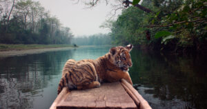 Il ragazzo e la tigre, di Brando Quilici