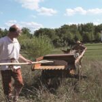 Vallus, les dents de la terre
