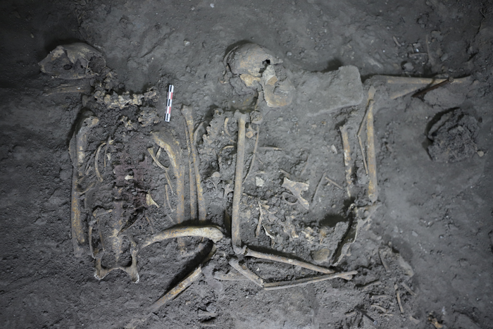 Complete skeletal remains of a 1,700 year-old female spider monkey found in Teotihuacán, Mexico