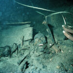 2,000 years of genetic history in Scandinavia elucidates Viking age to modern day