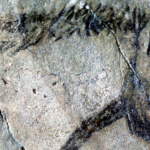 A new study reveals evidence of early Ice Age writing and what it meant