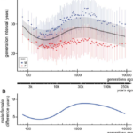age conception women men Study reveals average age at conception for men versus women over past 250,000 years