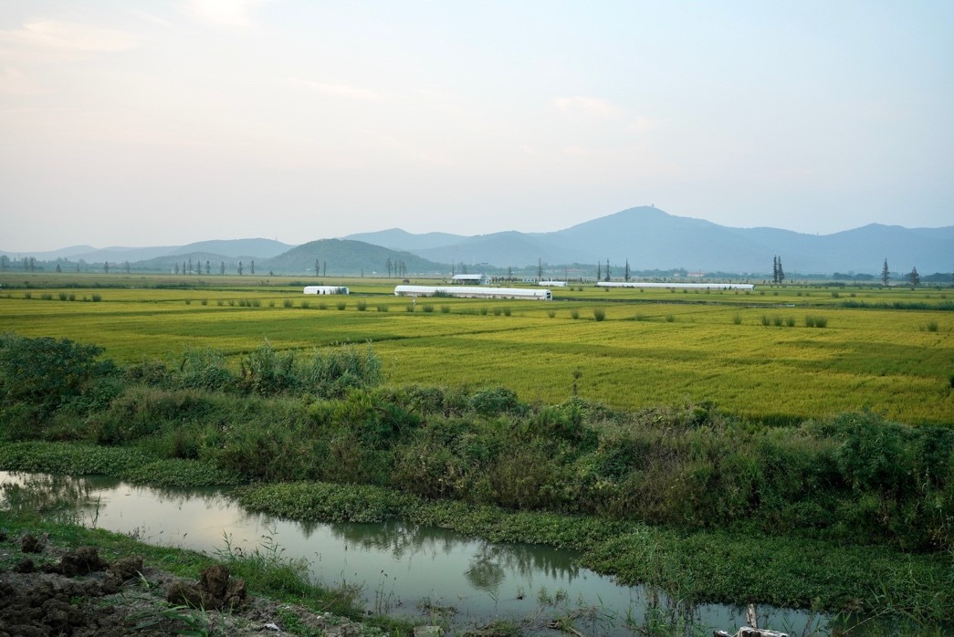 polders an important part of China’s water heritage 