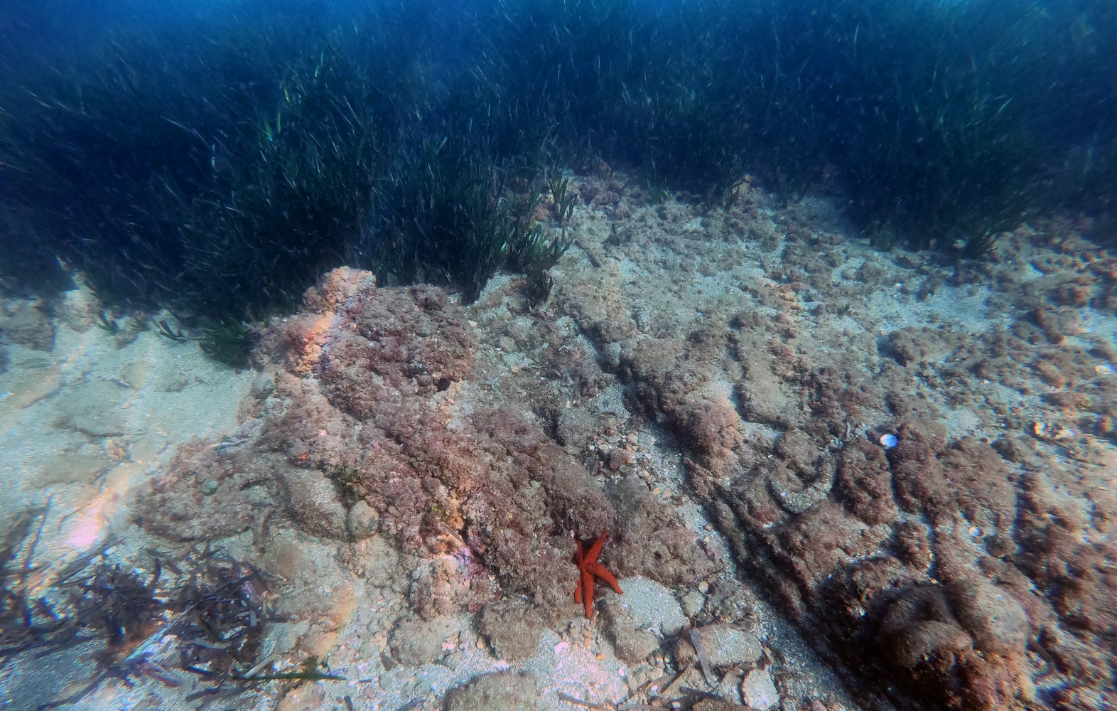 Le attività di ricerca si ampliano alle Terme del Lacus del Parco sommerso di Baia