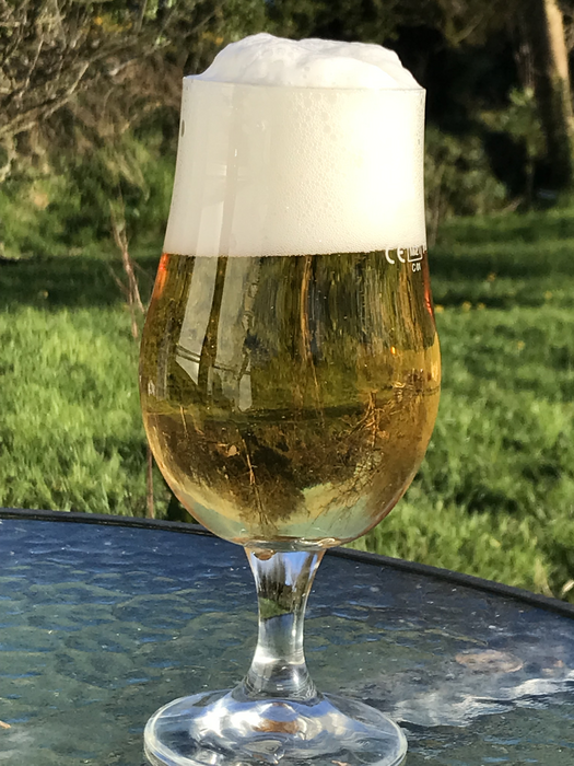 Lager beer Bavaria