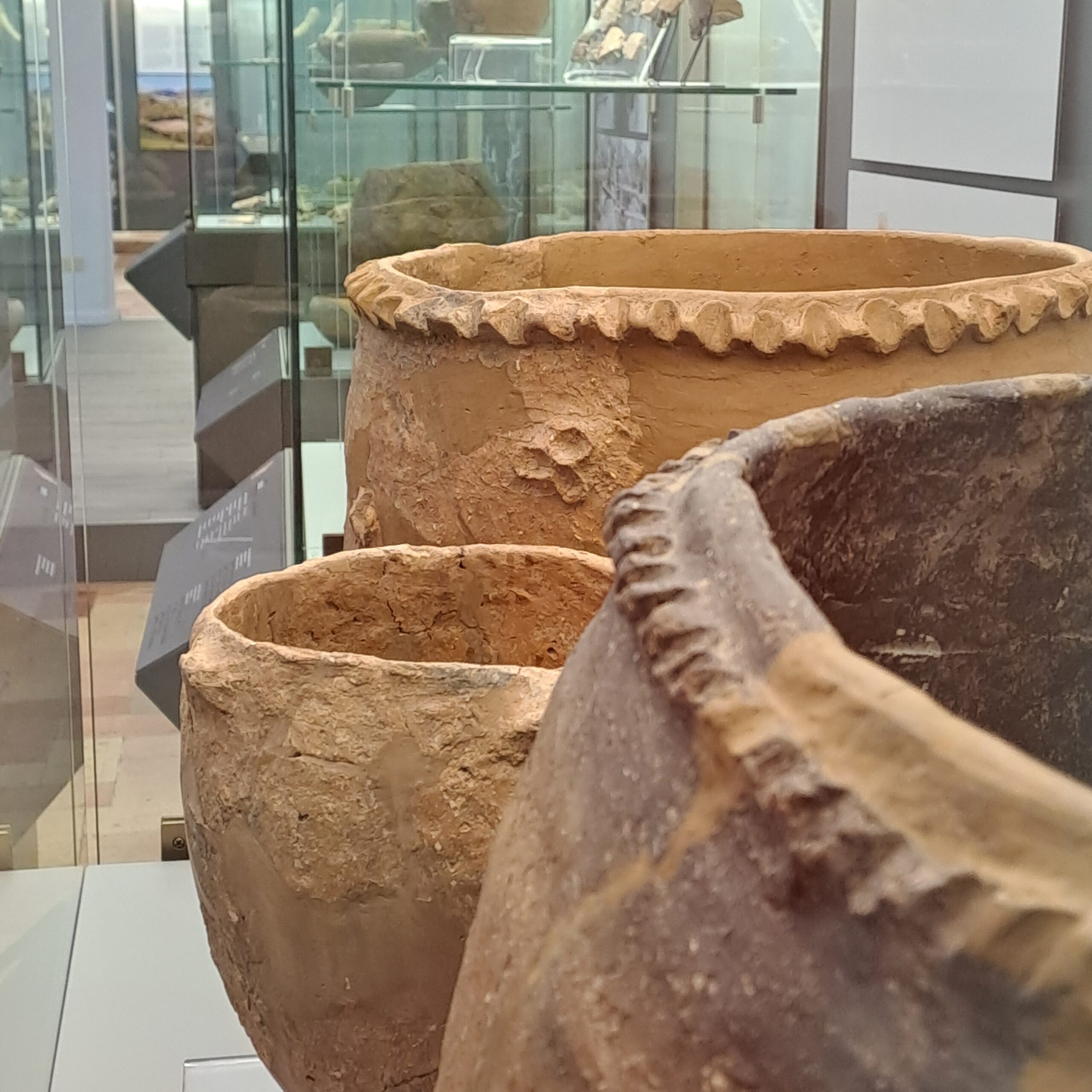 Museo Archeologico Statale di Arcevia