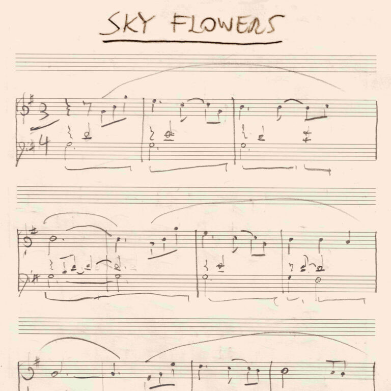 In foto: la cover di Sky Flowers (Believe)