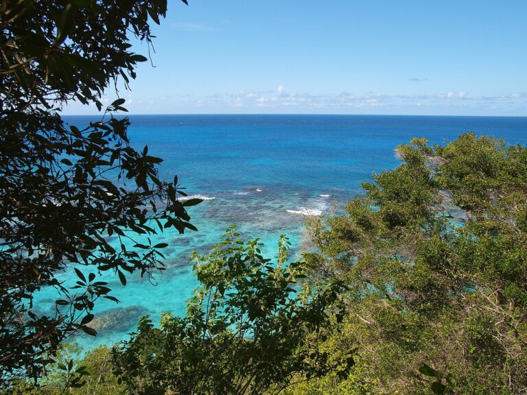 Playa Sardinera at the Isla de Mona. Picture by ,