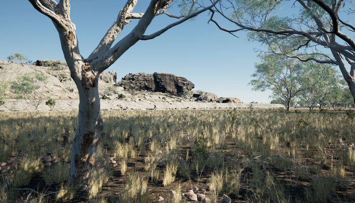 Red Lily Lagoon first Australians