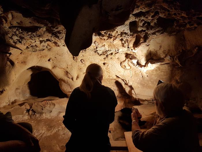 Neanderthal engravings La Roche-Cotard 