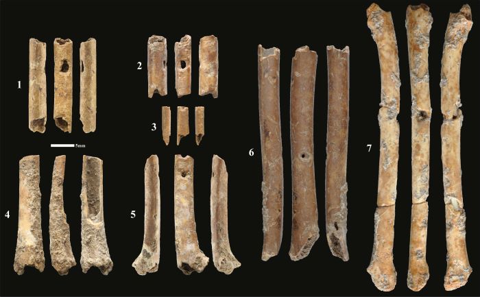 first wind instruments in the Levant seven aerophones discovered at Eynan-Mallaha © Laurent Davin