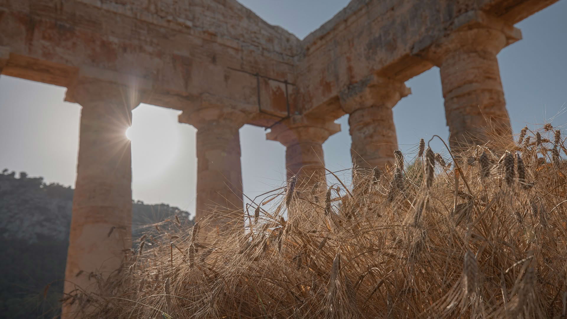 riapre al pubblico tempio dorico di Segesta