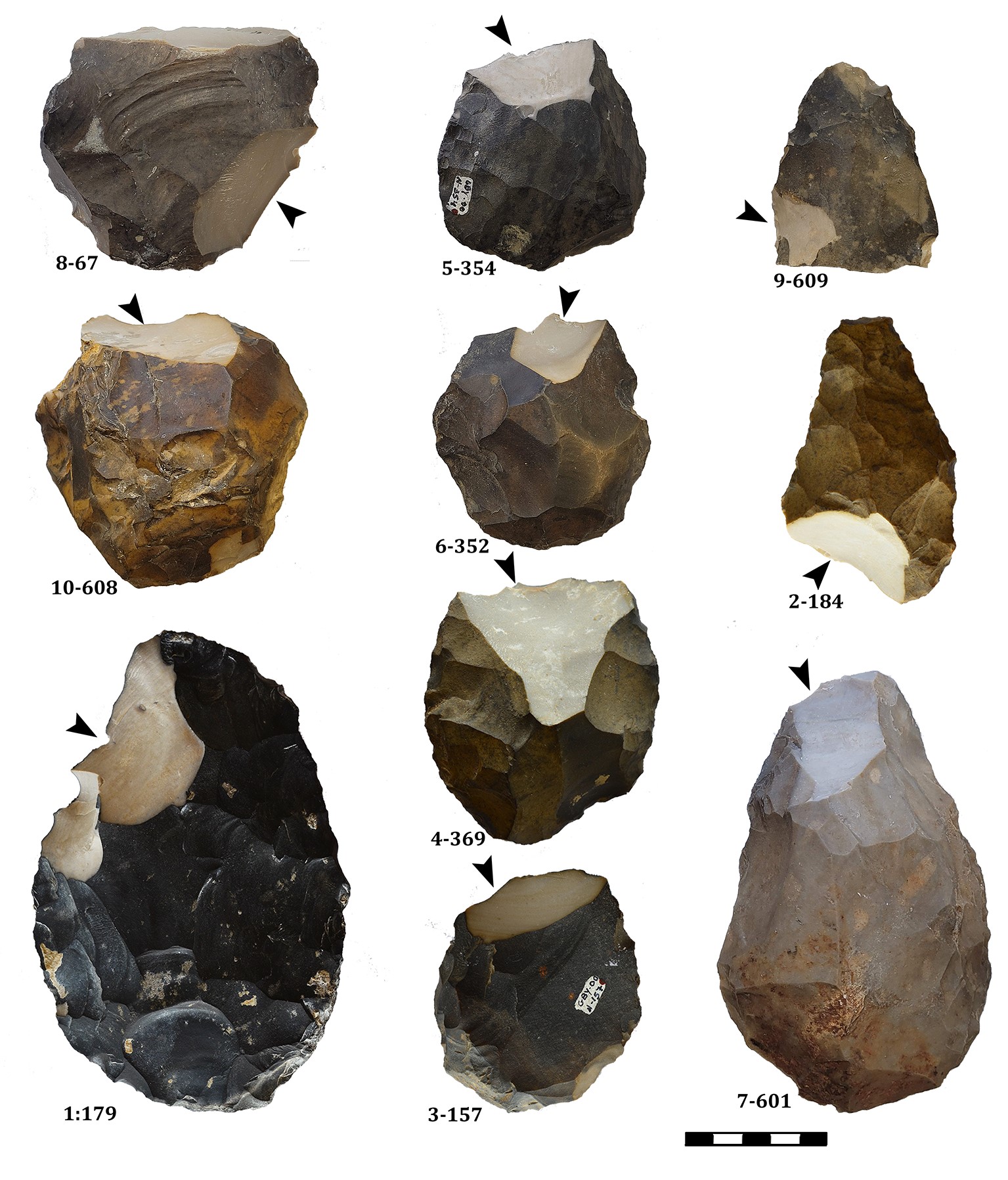 Hula Valley handaxes Early humans procurement raw materials