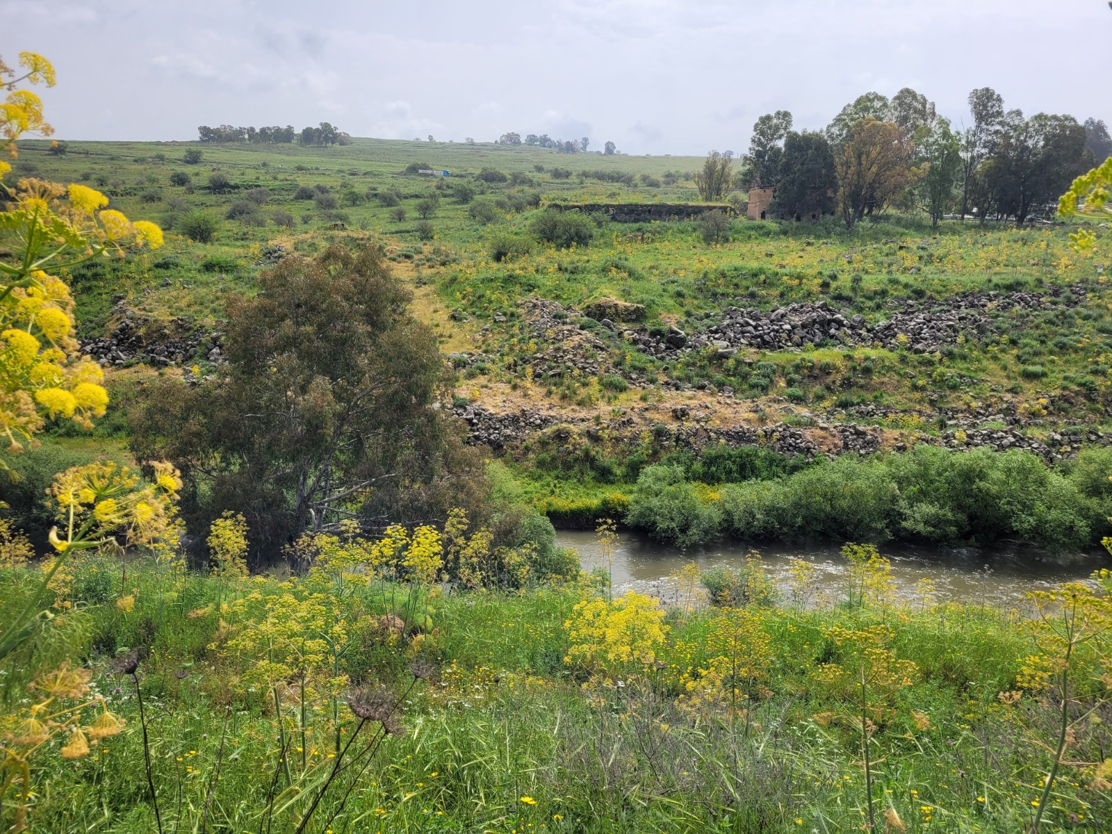 Early humans Hula Valley procurement raw materials handaxes