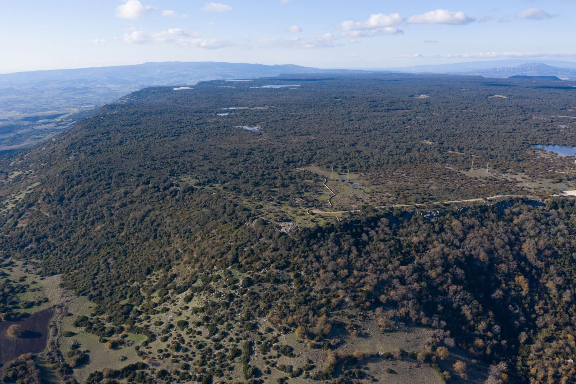 La Giara di Gesturi con nuraghe Bruncu Madugui in primo piano geostatistica nuraghi