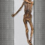 The Tyrolean Iceman is known as one of the oldest human glacier mummies Credits: Südtiroler Archäologiemuseum EURAC Marco Samadelli-Gregor Staschitz Ötzi dunkle Haut Glatze anatolische Vorfahren