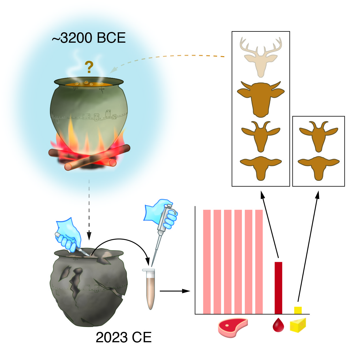 Ancient metal cauldrons give us clues about what people ate in the Bronze Age in the Caucasus region