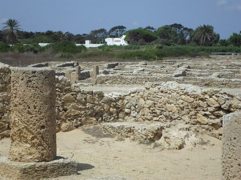 Kerkouane genetica popolazioni Mediterraneo Età del Ferro