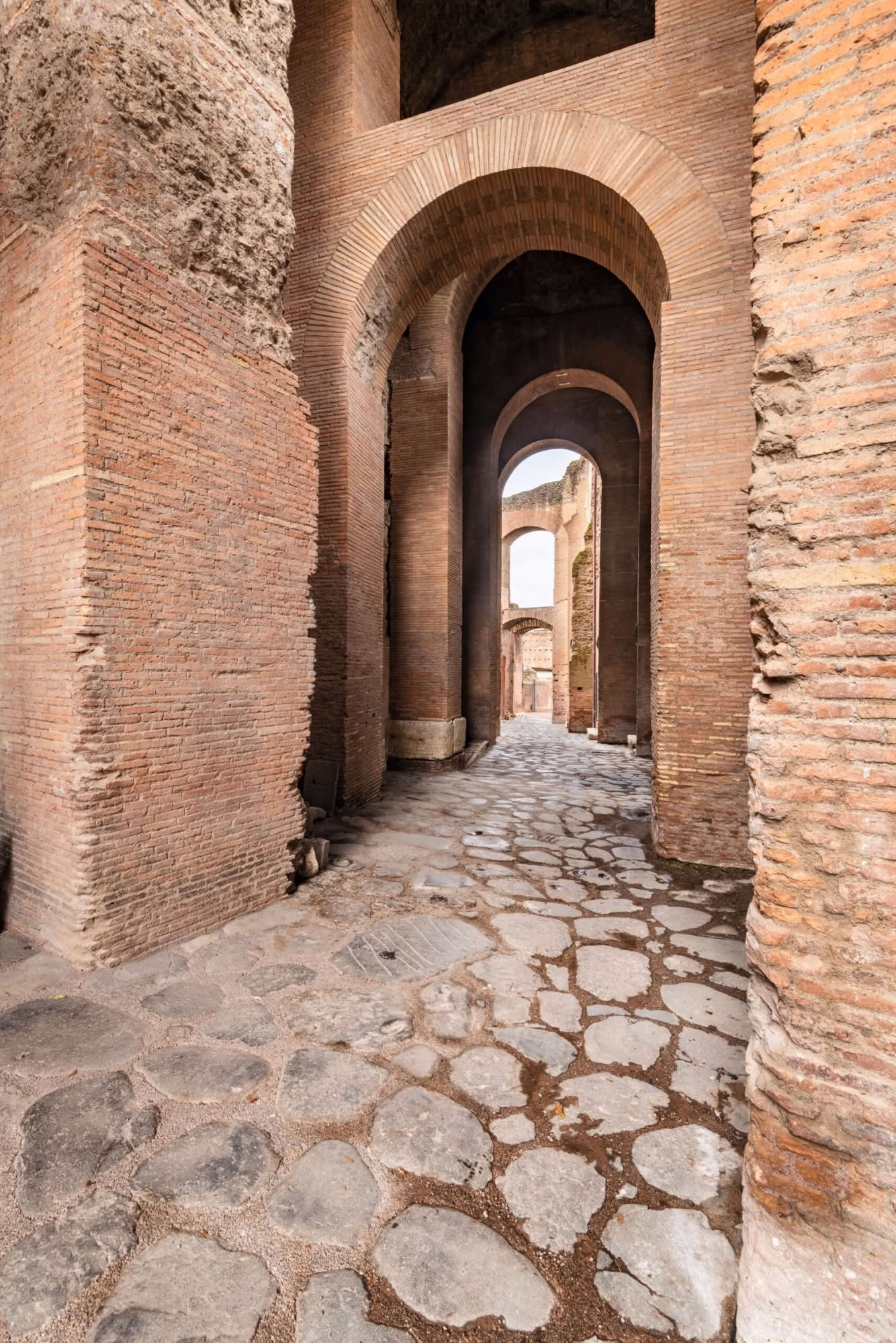 Domus Tiberiana: la via Tecta/ Clivo della Vittoria vista da est.