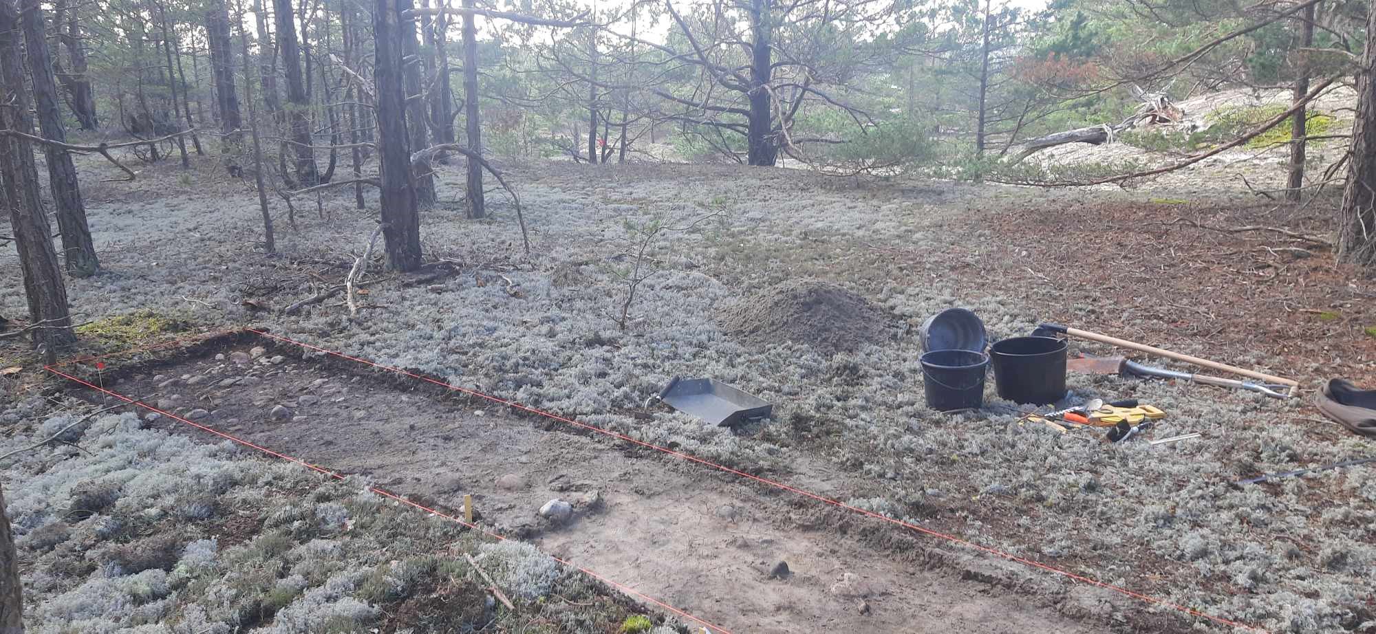 Trial excavation at one of the sites. Photo: Johan Rönnby