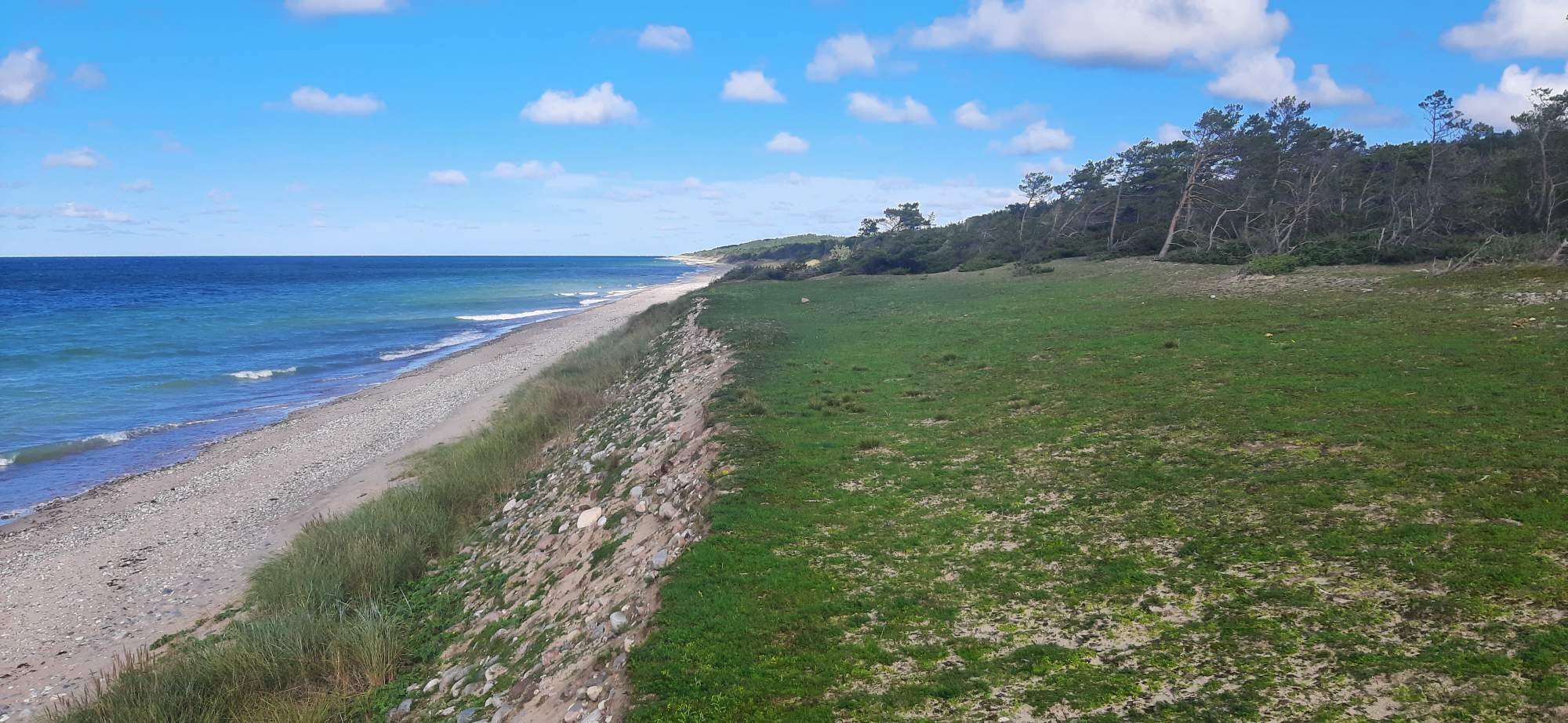 Sandbanks on Gotska Sandön, where the dig is located. Photo: Johan Rönnby