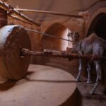 Isatis, di Alireza Dehghan
