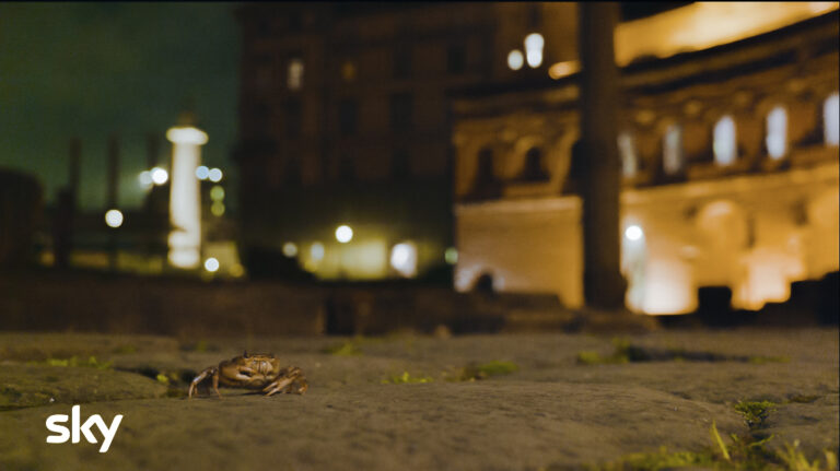 L'Impero della Natura. Una notte al Parco del Colosseo