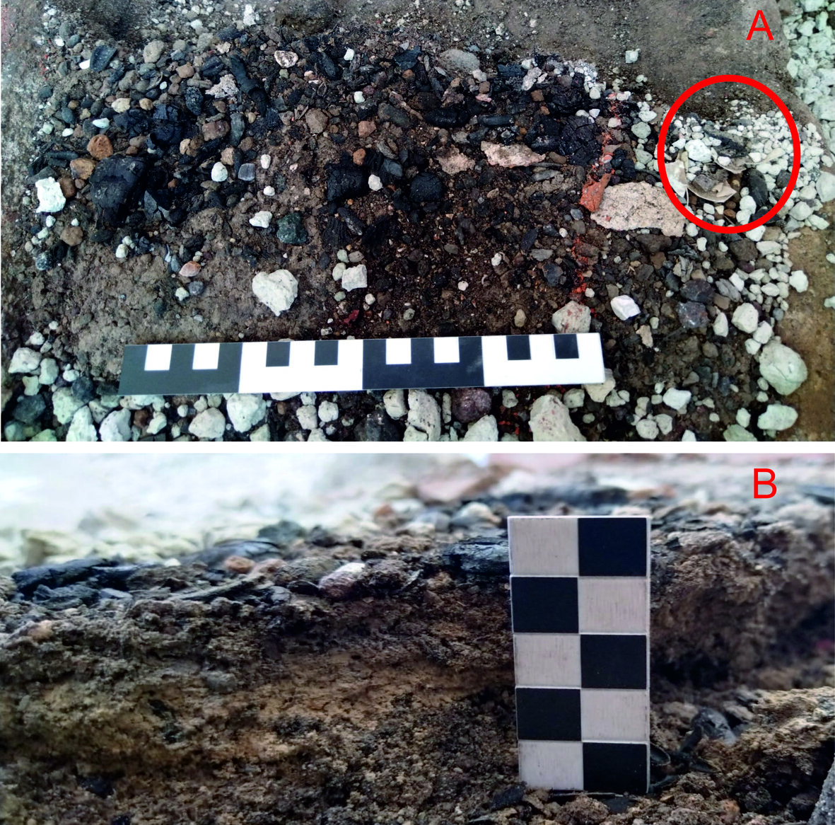 US 233 in fase di microscavo. Dettaglio del primo livello del deposito (A); Sezione del deposito (B).