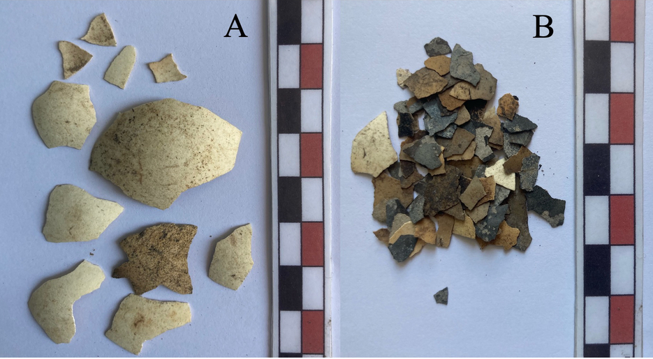 Frammenti di guscio d'uovo dal livello superficiale (A) e da quello più profondo (B). Si nota un maggiore grado di frammentazione e diffuse tracce di combustione per i resti provenienti dal livello più profondo