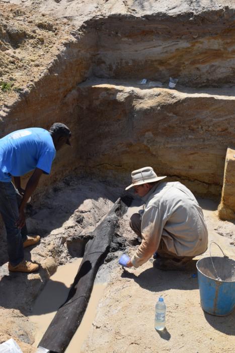 The excavation team uncovering the wooden structure