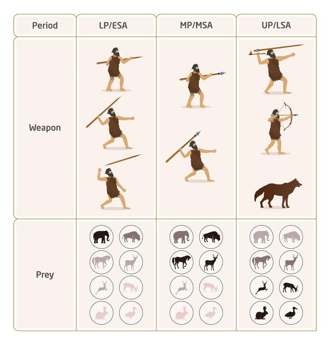 prehistoric small prey weapons abilities Changes in the hunting tools and the dominant animals in the sites from the Paleolithic period. Credits: Tel Aviv University, CC BY 