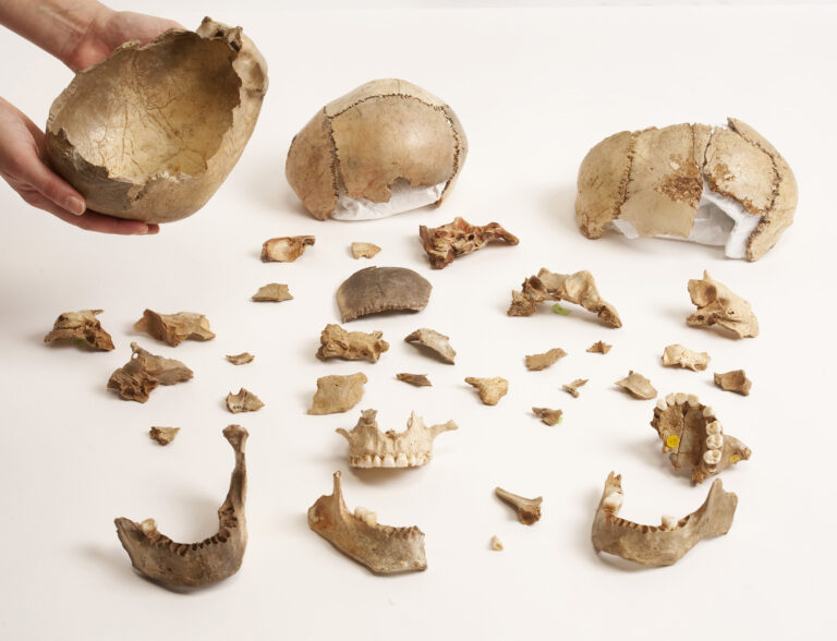 Cannibalism funerary Magdalenian Gough's Cave and Courbet Cave skull cups - © Trustees of the Natural History Museum