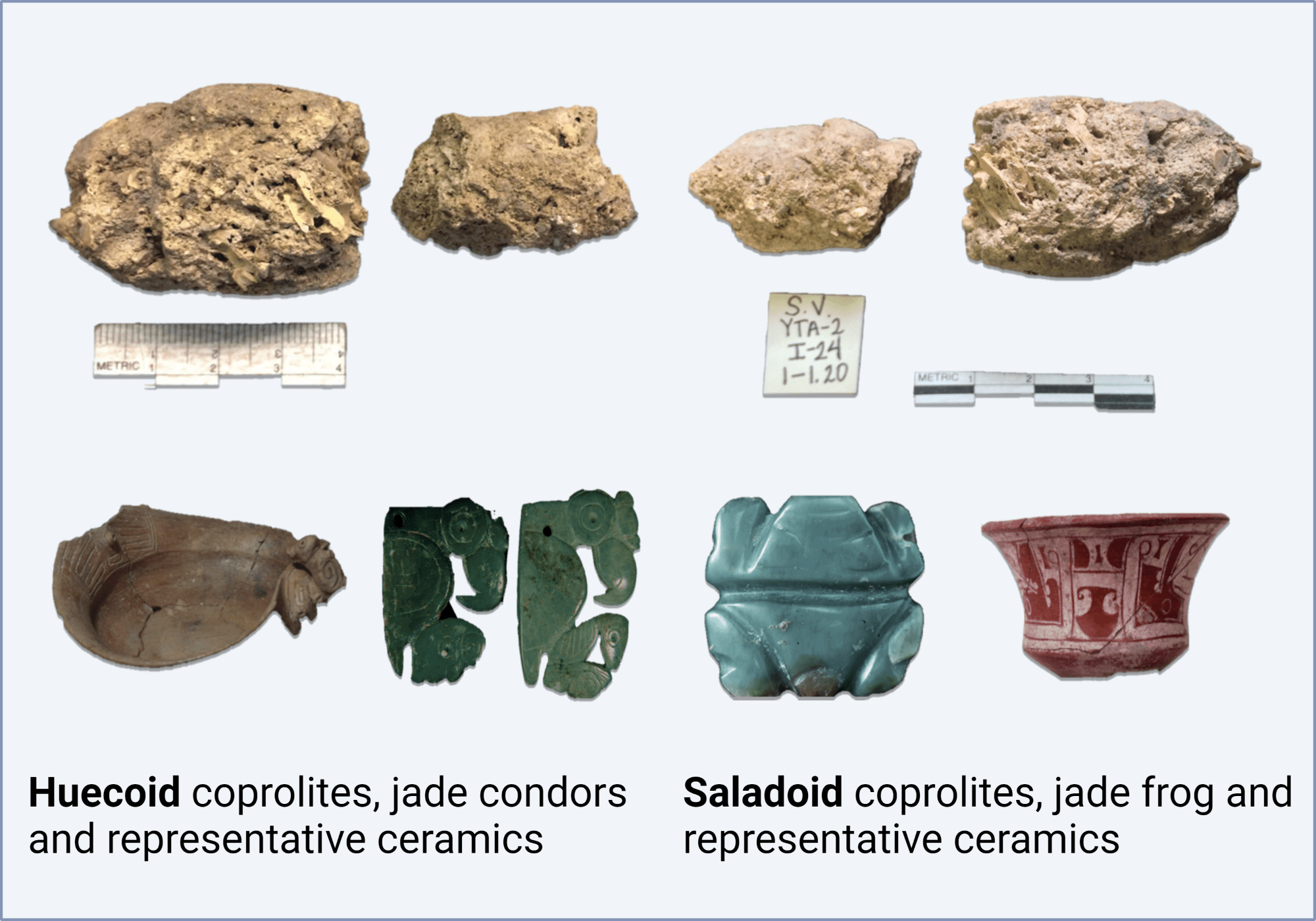 coprolites and artifacts recovered from the Huecoid and Saladoid archaeological sites