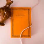 La perla di Minerva Francesca Barracca