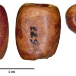 oldest Iberian imports Baltic amber bead recovered in a Neolithic context in the Cova del Frare (Matadepera, Barcelona). Photo: C. B. González, edited by M. J. Vilar Welter