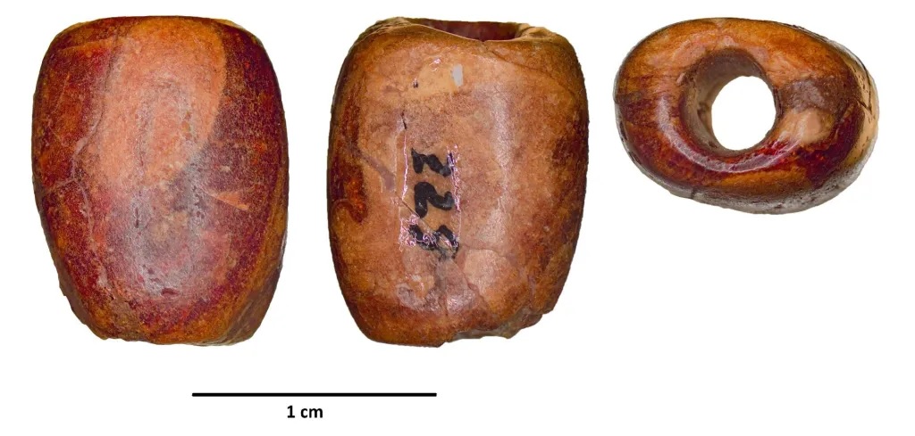 oldest Iberian imports Baltic amber bead recovered in a Neolithic context in the Cova del Frare (Matadepera, Barcelona). Photo: C. B. González, edited by M. J. Vilar Welter