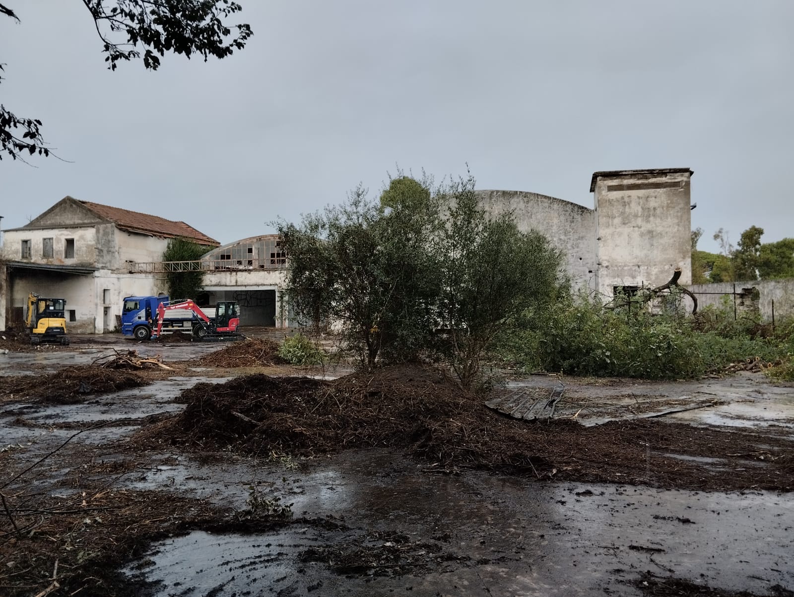 Allestimento del cantiere all'ex Stabilimento Cirio